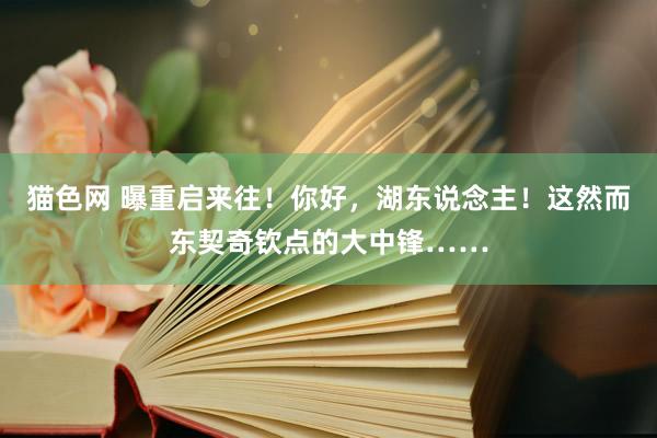 猫色网 曝重启来往！你好，湖东说念主！这然而东契奇钦点的大中锋……