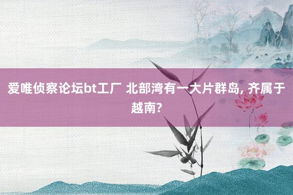 爱唯侦察论坛bt工厂 北部湾有一大片群岛, 齐属于越南?