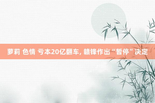 萝莉 色情 亏本20亿翻车, 赣锋作出“暂停”决定
