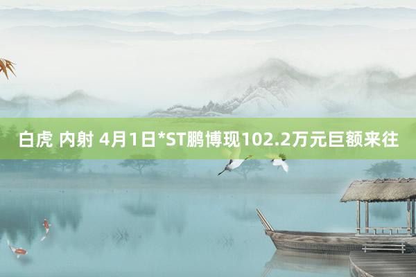 白虎 内射 4月1日*ST鹏博现102.2万元巨额来往
