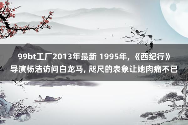 99bt工厂2013年最新 1995年, 《西纪行》导演杨洁访问白龙马, 咫尺的表象让她肉痛不已