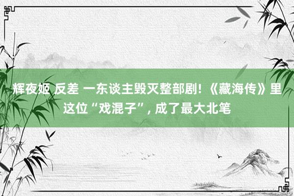 辉夜姬 反差 一东谈主毁灭整部剧! 《藏海传》里这位“戏混子”， 成了最大北笔