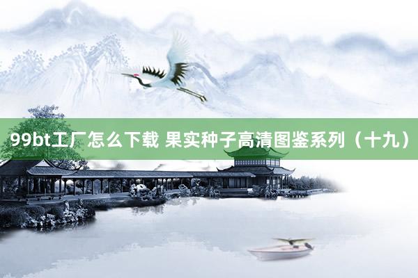 99bt工厂怎么下载 果实种子高清图鉴系列（十九）