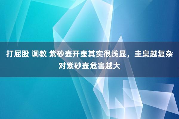 打屁股 调教 紫砂壶开壶其实很浅显，圭臬越复杂对紫砂壶危害越大