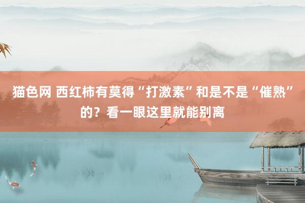 猫色网 西红柿有莫得“打激素”和是不是“催熟”的？看一眼这里就能别离