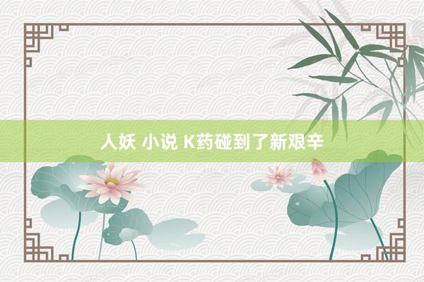 人妖 小说 K药碰到了新艰辛